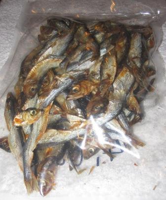 12231_400885486646462_362445291_n