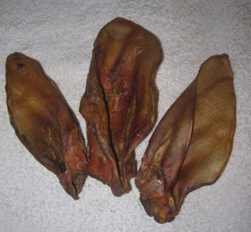 316683_400885719979772_2103864687_n